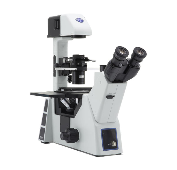 Optika Italy Inverted Phase Contrast Microscope - IM-5-US - 1 Each