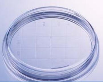 Greiner Bio One 639161 Sterile Polystyrene Petri Dish, Triple Vent, 145 mm x 20 mm - MDL-GBZ639161 - 120 Each