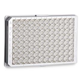 Greiner Bio One 96-Well Flat-Bottom / Chimney-Well Microplate 655075 40.0 Each-MDL-GBZ655075