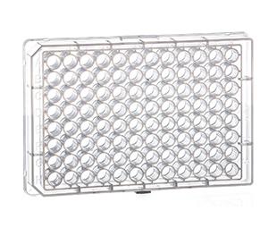 GREINER BIO ONE 96-Well Microplates 655261 100 Each - MDL-GBZ655261