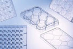Greiner Bio One Cell Culture Multiwell Plates - GBZ657960