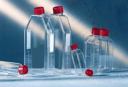 Greiner Bio One Greiner Polystyrene Cell Culture Flask - GBZ658975