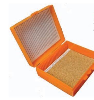 Slide Boxes with Hinged Covers - SB-25PC-G - 10 Each - MDL-GDASB25PCG
