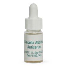 Brucella Abortus Antiserum - 1100 - 1 Each - MDL-GEA1100