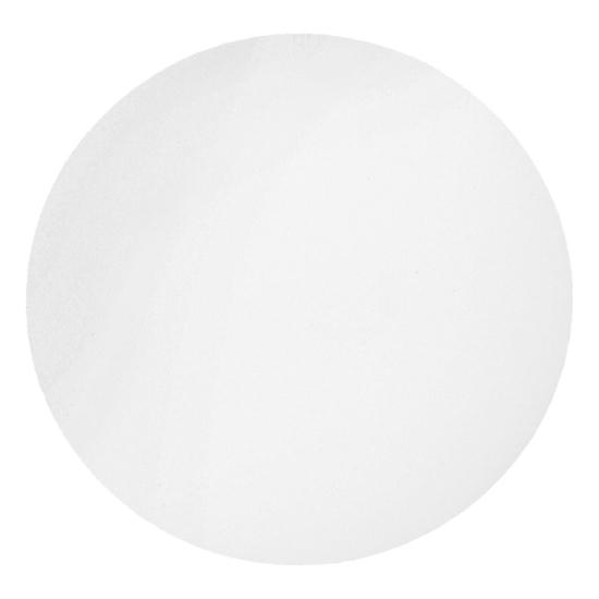 WHATMAN Application-Specific Filter 10310645 100 Each - MDL-GEH10310645