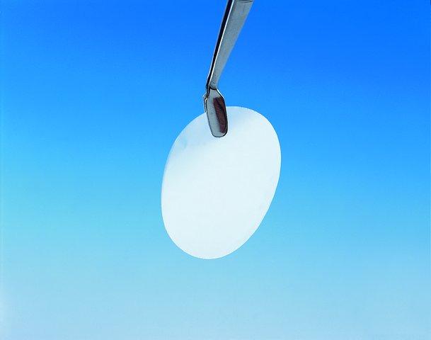WHATMAN Nuclepore Track-Etched Polycarbonate 110416 100 Each - MDL-GEH110416
