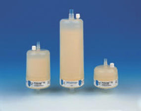 WHATMAN Polycap GW Filter 6724-6004 100 Each - MDL-GEH67246004