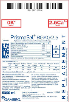 Baxter Healthcare PrismaSol Replacement Solutions 110240S - 2.0 Each