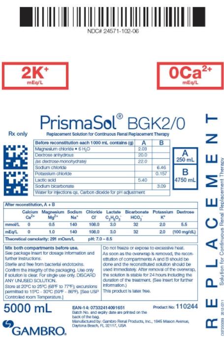 Baxter Healthcare PrismaSol Replacement Solutions 110244S - 1.0 Each