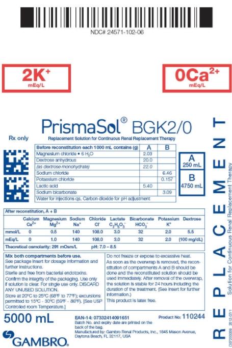 Baxter Healthcare PrismaSol Replacement Solutions 110244S - 2.0 Each
