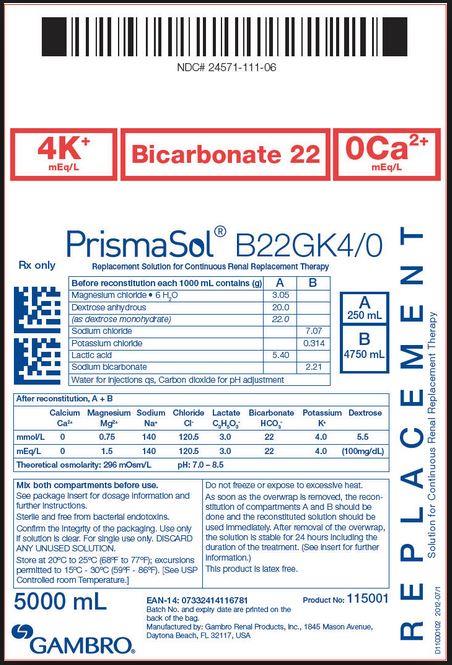Baxter Healthcare PrismaSol Replacement Solutions 115001S - 1.0 Each