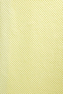 LITTLE RAPIDS CORP Little Rapids Dental Bibs 16169 500 Each-MDL-GRM16169
