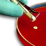 Hardy Diagnostics BD Cefixime Sensi-Discs for AST 231663 10.0 Each-MDL-HAD231663
