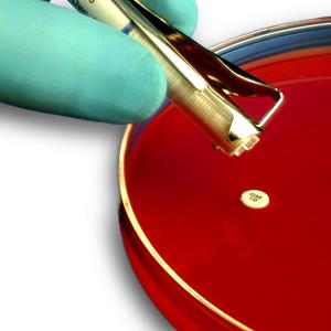 Hardy Diagnostics BD Cefixime Sensi-Discs for AST 231663 10.0 Each-MDL-HAD231663
