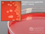 Hardy Diagnostics Hardy Diagnostics GBS Detect A300 - 10.0 Each - MDL-HADA300