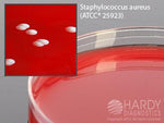 Hardy Diagnostics Columbia CNA Agar A50BX - 100.0 Each