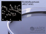 Hardy Diagnostics Regan-Lowe Agar A65 - 10.0 Each - MDL-HADA65
