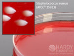 Hardy Diagnostics Rose Agar A66 - 10.0 Each
