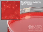 HARDY DIAGNOSTICS Selective Strep Agar A70 10 Each-MDL-HADA70