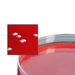 Hardy Diagnostics PEA Medium With 5% Sheep Blood A93 - 10.0 Each