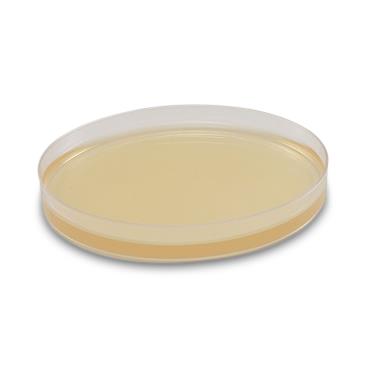 AnaeroGRO BBE Agar - AG051 - 1 Each - MDL-HADAG051