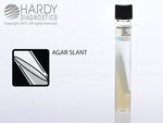 Middlebrook 7H11 Selective Slant - C38 - 20 Each - MDL-HADC38