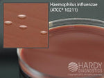 Hardy Diagnostics Chocolate Agar with Bacitracin E11 - 10.0 Each