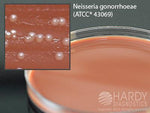 Hardy Diagnostics Thayer Martin Modified Agar E30 - 10.0 Each