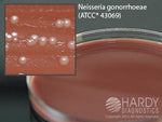 Martin Lewis with Lincomycin - E39 - 10 Each - MDL-HADE39