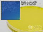Hardy Diagnostics CGB Agar for Cryptococcus gattii G113 - 10.0 Each - MDL-HADG113
