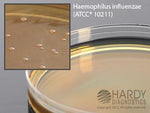 Hardy Diagnostics Peptic Digest Agar G141 - 10.0 Each