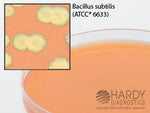 Hardy Diagnostics G147 Myp (Mannitol Yolk Polymyxin) Agar, For Bacillus Cereus, 15 x 100 mm Plate - MDL-HADG147 - 10 Each
