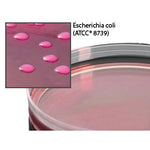 Hardy Diagnostics Violet Red Bile with Glucose Agar G178 - 10.0 Each - MDL-HADG178