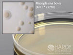 Hardy Diagnostics Mycoplasma Agar with Cefoperazone - HADG212