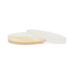 Hardy Diagnostics MacConkey Agar G258 - 10.0 Each