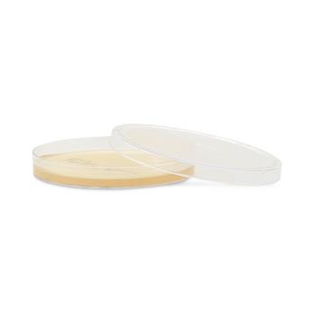 Hardy Diagnostics MacConkey Agar G258 - 10.0 Each