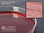 EMB Levine Agar - G25 - 10 Each - MDL-HADG25