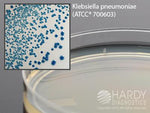 Hardy Diagnostics HardyCHROM ESBL Agar G321 - 10.0 Each
