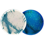 HARDY DIAGNOSTICS HardyChrom by Hardy Diagnostics G343 10 Each - MDL-HADG343