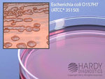 Hardy Diagnostics MacConkey Agar G36 - 10.0 Each