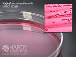 Hardy Diagnostics Mannitol Salt Agar (Msa), For Staphylococcus, 15 x 100 mm Plate - G40 - 10 Each