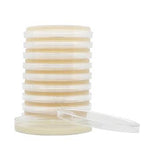 HARDY DIAGNOSTICS R2A Agar Plates G54 10 Each-MDL-HADG54