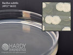 Hardy Diagnostics Hardy Diagnostics Tryptic Soy Agar G60BX - 100.0 Each