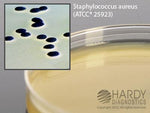 Hardy Diagnostics G96 Baird Parker Agar, For Staphylococcus, 15 x 100 mm Plate - MDL-HADG96 - 10 Each