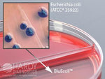 HARDY DIAGNOSTICS CAN/BluEcoli chromogenic E. coli Urine Biplate J116 10 Each - MDL-HADJ116