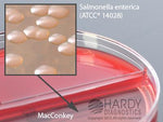 HARDY DIAGNOSTICS Blood Agar/MacConkey Biplate J32 10 Each - MDL-HADJ32