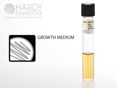 Hardy Diagnostics Thioglycollate With H And K (Hemin And Vitamin K), 5 mL, 16 x 100 mm Tube, Glass Tube - HADK22