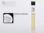 Hardy Diagnostics Thioglycollate with Supplements - HADK23