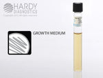Hardy Diagnostics Thioglycollate with H and K - HADK24