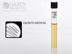 Hardy Diagnostics Thioglycollate with Indicator K29 - 20.0 Each - MDL-HADK29